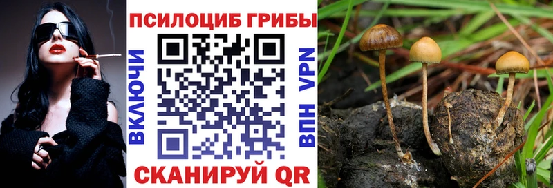 даркнет сайт  Галич  Галлюциногенные грибы Psilocybine cubensis 